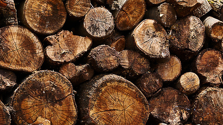 포토 JPG 해외이미지 나무 산업 벽 백그라운드 겨울 패턴 자연 불 추상 프레임 사람없음 야외 목재 갈색 노란색 쌓기 환경 재활용 에너지 시골 소나무 원형 숲 장작 자르기 묘사 질감 날것 통나무 나무껍질 연료 자원 잡동사니 흙더미 다리찢기 내추럴 벌목 수목 용광로 개조 해외202004 해외포토 자연요소 도형 식물 계절 컬러 무늬 재료 모션 흙 껍질 친환경 생태계 파일형식 더미 이미지허브