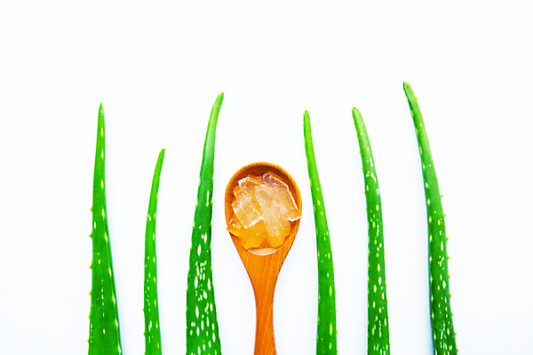 포토 JPG 해외이미지 스튜디오촬영 실내 사람없음 초록색 흰배경 나무숟가락 알로에 해외202004 해외포토 식물 컬러 백그라운드 내부 숟가락 흰색 파일형식 이미지허브