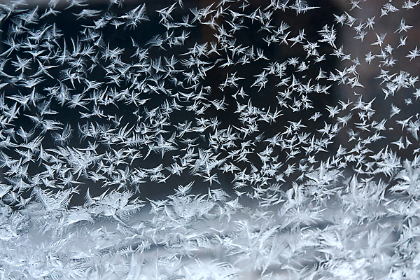 포토 JPG 해외이미지 백그라운드 겨울 패턴 유리 추상 사람없음 얼음 추위 그림 해외202004 해외포토 자연요소 계절 무늬 재질 파일형식 이미지허브