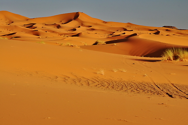 포토 JPG 해외이미지 모래 여행 백그라운드 패턴 오렌지 아프리카 자연 하늘 바람 건조 따뜻함 풍경 사람없음 야외 여름 파란색 모래사장 태양 노란색 우주 희망 침묵 사막 뜨거움 고독 갈증 모래언덕 장면 모로코 사하라 영원 혼자 수평선 해외202004 해외포토 자연요소 계절 감정 나라 바다 컬러 무늬 과일 날씨 소리 언덕 생태계 파일형식 이미지허브