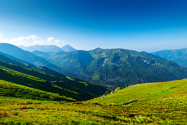 포토 JPG 해외이미지 구름 계절 공원 유럽 여행 자국 자연 하늘 산 풍경 경사 사람없음 야외 초록색 여름 파란색 계곡 맑음 하이킹 바위 정상 언덕 산등성이 장면 광택 폴란드 내추럴 슬로바키아 절정 수평선 해외202004 해외포토 자연요소 공공시설 나라 컬러 레저 날씨 돌_바위 생태계 파일형식 이미지허브