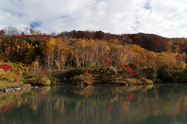 포토 JPG 해외이미지 나무 식물 계절 공원 아시아 호수 여행 백그라운드 단풍 잎 오렌지 자연 산 풍경 사람없음 야외 빨간색 초록색 강 여행객 골짜기 일본 가을 연못 개울 숲 해외202004 해외포토 공공시설 나라 컬러 과일 사람 생태계 파일형식 이미지허브