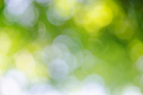 포토 JPG 해외이미지 나무 식물 계절 공원 꽃 여행 백그라운드 잎 밭 태국 자연 날씨 추상 휴식 풍경 사람없음 야외 초록색 여름 봄 신선 소프트포커스 만족 보케 내추럴 블러 해외202004 해외포토 공공시설 감정 아시아 컬러 컨셉 무늬 농업 촬영기법 생태계 파일형식 이미지허브