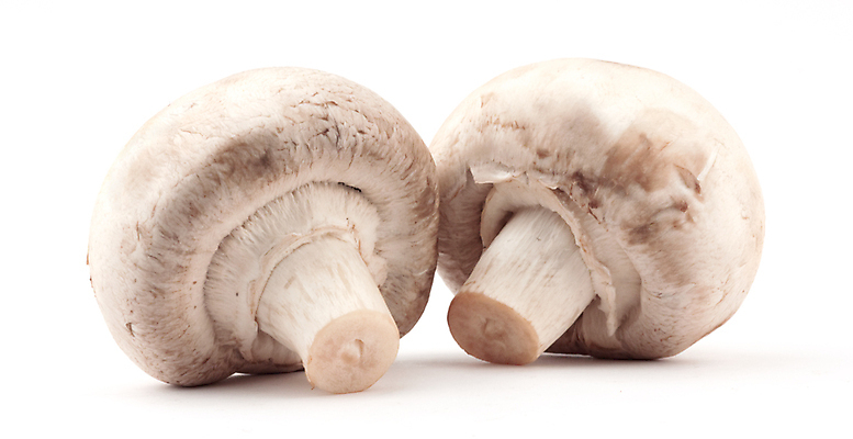 포토 JPG 해외이미지 음식 백그라운드 채소 재료 사람없음 반사 버섯 흰색 신선 수집 먹기 오브젝트 유기농 고립 숙성 식용 채식주의자 해외202004 해외포토 웰빙 컬러 모션 채식 파일형식 이미지허브