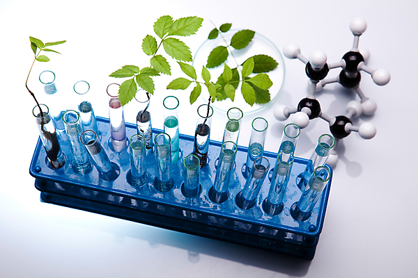 포토 JPG 해외이미지 식물 실내 실험 사람없음 액체 화학 실험실 플라스크 시험관 흰배경 비커 유리관 화학실험 분자구조모형 샤레 시험관대 해외202004 해외포토 과학 백그라운드 실험기구 내부 모형 흰색 분자구조 파일형식 이미지허브