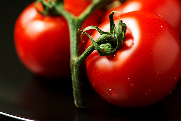 포토 JPG 해외이미지 전통 계절 문화 음식 백그라운드 잎 토마토 채소 탁자 주택 건강 요리 사람없음 빨간색 여름 주방 가을 축하 신선 보호 다발 허브 유기농 매움 피클 레시피 성분 내추럴 딜 숙성 식용 절임 채식주의자 핸드메이드 해외202004 해외포토 식물 웰빙 컬러 가구 컨셉 건물 맛 채식 파일형식 이미지허브