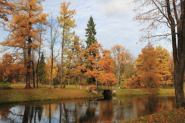 포토 JPG 해외이미지 나무 구름 호수 자연 하늘 사람없음 반사 가을 시트 해외202004 해외포토 자연요소 식물 계절 생태계 파일형식 이미지허브