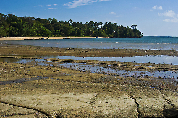 포토 JPG 해외이미지 동물 바다 백그라운드 태국 표면 조개 연체동물 풍경 사람없음 물 껍질 바위 파편 묘사 질감 화석 선사시대 내추럴 앵무조개 옛날 오리지널 지질학 해외202004 해외포토 자연요소 교육 아시아 어패류 무척추동물 돌_바위 역사 파일형식 이미지허브