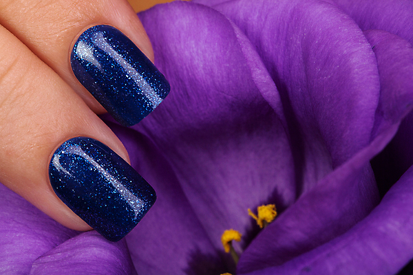 포토 JPG 해외이미지 손 꽃 손가락 휴가 미술 이벤트 사람없음 파란색 빛 유행 화장품 덮개 난초 손톱관리 손톱 아크릴 스타일 해외202004 해외포토 식물 컬러 재질 문화예술 신체부위 뷰티 뚜껑 네일아트 파일형식 이미지허브