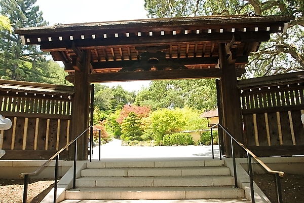 포토 JPG 해외이미지 나무 식물 공원 선 자연 동양인 사람없음 야외 초록색 물 여름 강 반사 평화 정원 일본 맑음 침묵 고요 연못 숲 대나무 명상 아치 조경 캘리포니아 내추럴 해외202004 해외포토 자연요소 계절 공공시설 아시아 컬러 컨셉 날씨 인종 미국 소리 생태계 파일형식 이미지허브