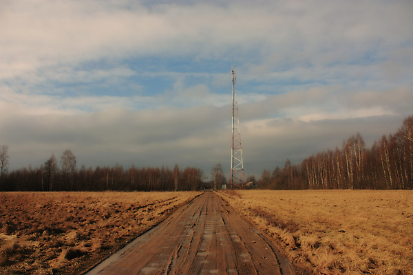포토 JPG 해외이미지 나무 구름 백그라운드 밭 농업 통신 자연 하늘 풍경 사람없음 야외 초록색 여름 파란색 태양 환경 탑 힘 일몰 시골 땅 내추럴 해외202004 해외포토 자연요소 식물 건축물 계절 산업 컬러 노을 생태계 파일형식 이미지허브