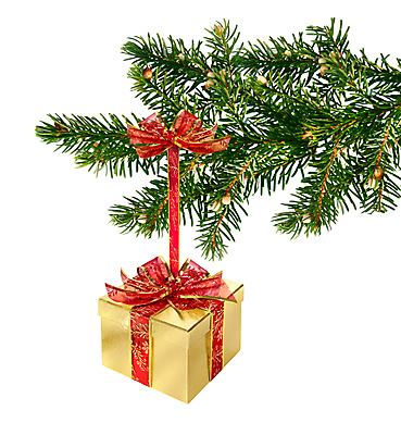 포토 JPG 해외이미지 나무 계절 리본 백그라운드 크리스마스 휴가 매달리기 선물 사람없음 장식 빨간색 초록색 상자 흰색 나뭇가지 축하 황금 실 상록수 고립 해외202004 해외포토 식물 기념일 컬러 컨셉 모션 파일형식 이미지허브