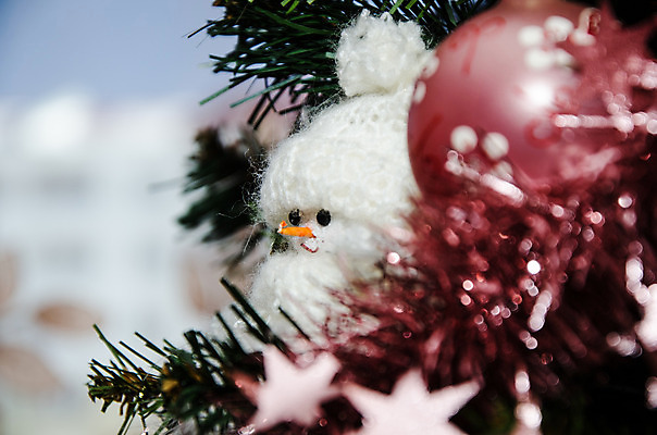 포토 JPG 해외이미지 나무 전통 디자인 커플 행복 백그라운드 크리스마스 겨울 과일 유리 휴가 전등 새로움 프레임 사탕 사람없음 장식 초록색 빛 장난감 화환 흰색 축하 신용카드 화려 황금 연도 심볼 전나무 고립 가문비나무 해외202004 해외포토 식물 계절 기념일 꽃 감정 컬러 컨셉 관계 재질 디저트 조명 금융 파일형식 이미지허브