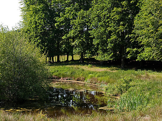 포토 JPG 해외이미지 나무 구름 계절 공원 호수 여행 자연 하늘 풍경 사람없음 야외 초록색 물 여름 파란색 반사 환경 침묵 시골 황무지 보호 숲 땅 장면 지역 웅장함 해외202004 해외포토 자연요소 식물 공공시설 컬러 컨셉 소리 생태계 파일형식 이미지허브