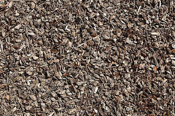 포토 JPG 해외이미지 식물 디자인 조각 백그라운드 패턴 자연 벽지 풍경 사람없음 야외 목재 컬러풀 갈색 노란색 정원 덮개 소나무 놀이터 작음 타일 원예 질감 조경 나무껍질 면도 찢어짐 내추럴 깨짐 땅바닥 무생채 엘리먼트 해외202004 해외포토 나무 컬러 컨셉 무늬 재료 모션 놀이 바닥 취미 뚜껑 껍질 크기 생태계 파일형식 이미지허브