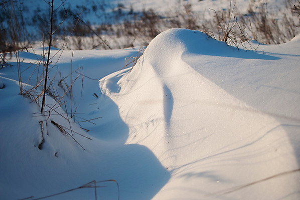 포토 JPG 해외이미지 나무 여행 백그라운드 크리스마스 겨울 자연 하늘 날씨 휴가 스키 산 풍경 사람없음 야외 파란색 얼음 일몰 놀람 추위 흰색 휴양지 산등성이 빙하 서리 러시아 장면 지역 눈보라 1월 절정 눈내림 해외202004 해외포토 자연요소 식물 계절 기념일 감정 유럽 컬러 겨울스포츠 눈_날씨 표정 노을 장소 날짜 생태계 파일형식 이미지허브