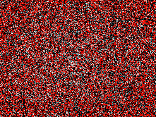 포토 JPG 해외이미지 모양 디자인 꽃 종이 벽 파도 백그라운드 패턴 곡선 자연 벽지 추상 창조 선물 미술 사람없음 빨간색 활발 행성 에너지 수확 점 얼룩 파편 낟알 묘사 질감 합성 시들음 골절 그런지 엘리먼트 부족함 해외202004 해외포토 식물 선 바다 컬러 컨셉 무늬 농업 의학 문화예술 우주 생태계 파일형식 이미지허브