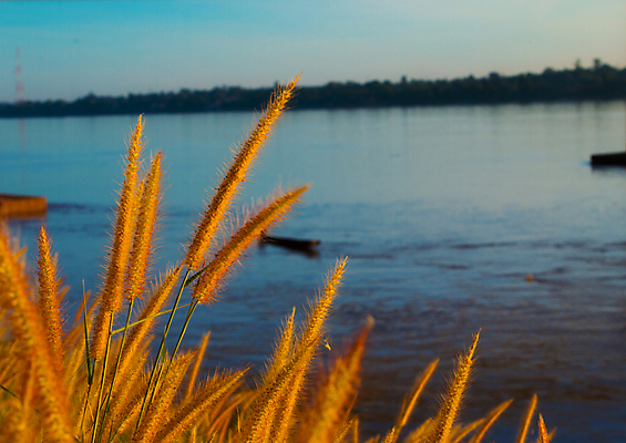 포토 JPG 해외이미지 식물 계절 실루엣 음식 빵 백그라운드 밭 농업 오렌지 자연 하늘 아침 씨앗 풍경 사람없음 초록색 여름 파란색 빛 농작물 컬러풀 햇빛 태양 농장 노란색 일출 환경 황혼 일몰 봄 새벽 활발 성장 가을 시골 뜨거움 황금 큼 땅 보리 장면 내추럴 숙성 수평선 해외202004 해외포토 주간 자연요소 산업 컬러 컨셉 과일 곡류 촬영기법 노을 크기 생태계 파일형식 이미지허브
