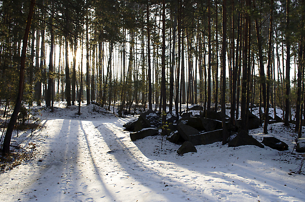포토 JPG 해외이미지 나무 식물 백그라운드 겨울 오렌지 아침 휴가 그림자 풍경 사람없음 목재 빨간색 빛 컬러풀 햇빛 태양 노란색 우주 일출 냉동 일몰 새벽 추위 광선 나뭇가지 소나무 저녁 숲 가루 그림 서리 러시아 장면 북쪽 러시아인 삼나무 시베리아 제설기 가문비나무 수평선 해외202004 해외포토 주간 자연요소 서양인 계절 유럽 컬러 과일 재료 노을 야간 방향 제설 파일형식 이미지허브