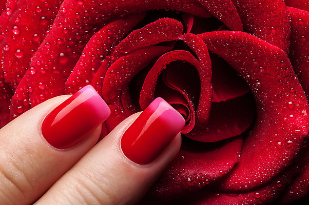 포토 JPG 해외이미지 손 손가락 미술 이벤트 사람없음 유행 화장품 덮개 손톱 돌봄 위생관리 아크릴 스타일 해외202004 해외포토 모션 재질 문화예술 관리 신체부위 뷰티 뚜껑 파일형식 이미지허브