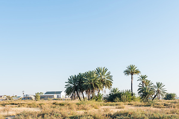포토 JPG 해외이미지 겨울 학교 아프리카 아침 거리풍경 사람없음 건물 도시풍경 야자수 햇빛 교회 마을 맑음 분수 타운 남아프리카 칼라하리 해외202004 해외포토 주간 나무 건축물 계절 교육 나라 날씨 거리 풍경 태양 사막 도시 파일형식 이미지허브