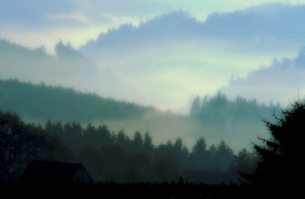 포토 JPG 해외이미지 나무 식물 자연 독일 풍경 사람없음 야외 안개 숲 땅 지형 지역 동물상 뿌연 바이에른 해외202004 해외포토 유럽 날씨 조형물 생태계 파일형식 이미지허브