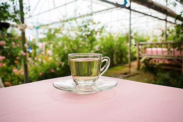 포토 JPG 해외이미지 식물 꽃 음료 백그라운드 잎 꽃무늬 유리 탁자 티타임 건강 사람없음 컵 초록색 정원 봄 벚꽃 신선 뜨거움 투명 차 찻잔 다발 허브 상쾌 향기 냄새 아로마 돌봄 해외202004 해외포토 식기 계절 감정 컬러 가구 무늬 모션 재질 휴식 잔 파일형식 이미지허브