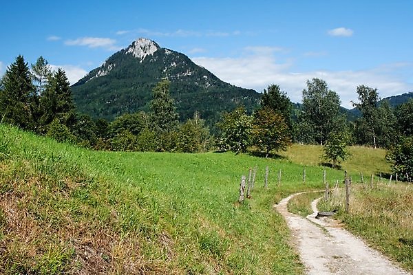포토 JPG 해외이미지 나무 도로 길 자국 자연 산 숙이기 풍경 사람없음 초록색 여름 노란색 가을 시골 숲 언덕 그림 알프스 선로 절정 해외202004 해외포토 식물 계절 유럽 컬러 포즈 교통시설 생태계 파일형식 이미지허브