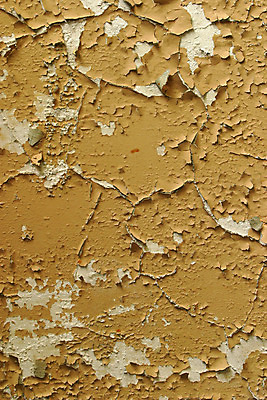 포토 JPG 해외이미지 디자인 선 벽 백그라운드 패턴 오렌지 추상 사람없음 건물 물 빛 갈색 노란색 페인트 젖음 흰색 얼룩 구멍 거친 액체 균열 모서리 크리스탈 질감 날카로움 시멘트 먼지 스크래치 깨짐 스크랩북 어려움 핵심 해외202004 해외포토 자연요소 건축물 컬러 컨셉 무늬 과일 모션 광석 파일형식 이미지허브