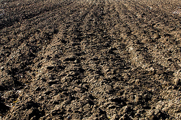 포토 JPG 해외이미지 밭 농업 풍경 사람없음 농장 농경지 흙 시골 땅 만취 트랙터 밭일 쟁기 세련 해외202004 해외포토 산업 농기계 특수차량 술취함 파일형식 이미지허브