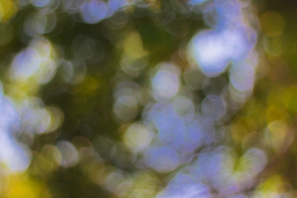 포토 JPG 해외이미지 디자인 행복 별 분홍색 일러스트 사람없음 장식 빨간색 빛 반짝임 노란색 검은색 화려 우아함 소프트포커스 보케 빛망울 해외202004 해외포토 자연요소 감정 컬러 컨셉 모션 촬영기법 파일형식 이미지허브