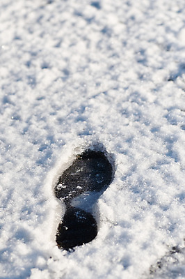 포토 JPG 해외이미지 나무 식물 계절 꽃 백그라운드 크리스마스 겨울 자연 날씨 사람없음 물 파란색 얼음 추위 흰색 나뭇가지 눈송이 크리스탈 묘사 질감 서리 온도 단계 내추럴 눈내림 해외202004 해외포토 자연요소 기념일 컬러 눈_날씨 광석 생태계 파일형식 이미지허브