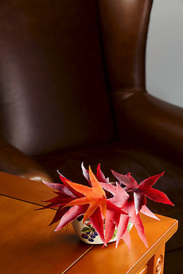 포토 JPG 해외이미지 계절 꽃 꽃다발 백그라운드 잎 자연 휴가 주택 풍경 사람없음 야외 내부 목재 장식 빨간색 컬러풀 갈색 노란색 정원 꽃병 방 장비 가을 죽음 도자기 황금 유기농 잔물결 접기 해외202004 해외포토 나무 식물 웰빙 물결 컬러 재료 모션 건물 생태계 파일형식 이미지허브