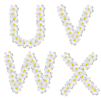 포토 JPG 해외이미지 아이콘 캐릭터 알파벳 꽃 비즈니스 텍스트 대문자 사람없음 사무실 숫자 라벨 흰색 U 업무 그룹 메시지 X 디자이너 편지 배열 심볼 사인 준비 시스템 W 타입 내추럴 고립 해외202004 해외포토 식물 직업 문자 영어 컬러 프레임 작업 파일형식 이미지허브