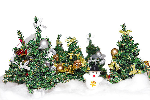 포토 JPG 해외이미지 나무 전통 디자인 계절 별 문화 백그라운드 크리스마스 겨울 공 휴가 전등 조명 실내 선물 이벤트 사람없음 장식 빨간색 초록색 빛 쇼핑 화환 놀람 장비 추위 흰색 축하 인사 소나무 화려 황금 12월 심볼 활 그림 상록수 전나무 빛망울 고립 광 여의주 가문비나무 해외202004 해외포토 자연요소 식물 기념일 꽃 감정 컬러 컨셉 표정 내부 예절 날짜 파일형식 이미지허브