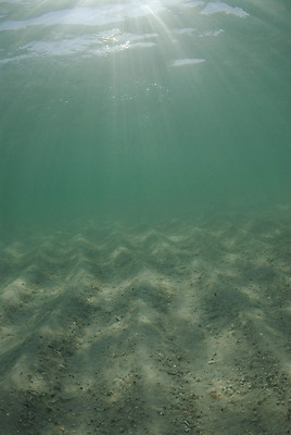 포토 JPG 해외이미지 물결 모래 파도 바다 백그라운드 자연 하늘 표면 추상 바닥 사람없음 초록색 물 파란색 햇빛 태양 환경 수중 광선 흰색 질감 소금물 해외202004 해외포토 자연요소 컬러 무늬 생태계 파일형식 이미지허브