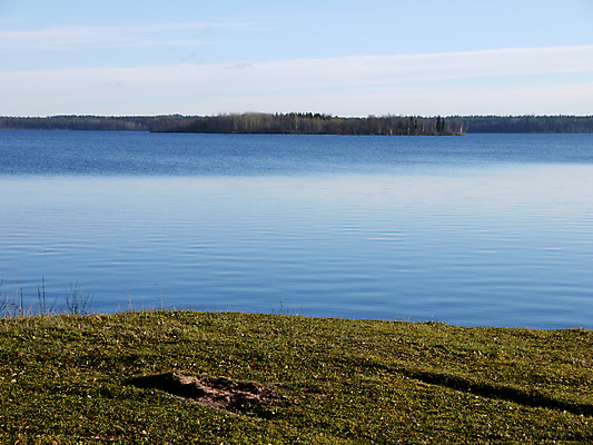 포토 JPG 해외이미지 나무 구름 호수 모래 파도 여행 백그라운드 잎 자연 하늘 바람 휴식 건강 그림자 풍경 사람없음 목재 빨간색 초록색 물 파란색 태양 갈색 노란색 산책 가을 흰색 나뭇가지 소나무 뜨거움 액체 행운 황금 러시아 나무껍질 시트 자작나무 땅바닥 방법 시베리아 해외202004 해외포토 자연요소 식물 계절 유럽 바다 컬러 컨셉 재료 날씨 바닥 껍질 생태계 파일형식 이미지허브