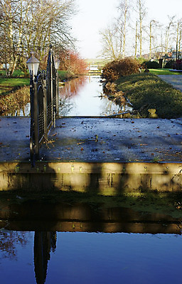 포토 JPG 해외이미지 나무 식물 농업 자연 풍경 사람없음 물 반사 정원 거울 땅 네덜란드 운하 밭일 채널 해외202004 해외포토 자연요소 유럽 산업 생태계 파일형식 이미지허브