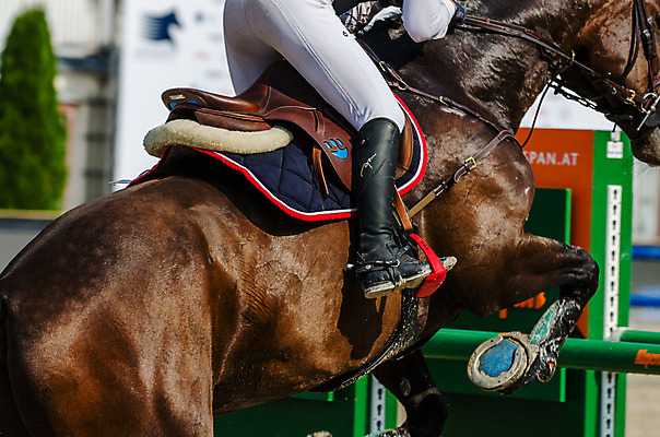 포토 JPG 해외이미지 실루엣 야생동물 스포츠 자연 털 동물원 풍경 사람없음 울타리 달리기 점프 검은색 힘 자유 카우보이 치아 버드나무 갈기 안장 망아지 돌봄 동물상 라이더 타격 토너먼트 해외202004 해외포토 나무 동물 새끼 컬러 컨셉 모션 촬영기법 담장 조형물 말_동물 소화기관 생태계 파일형식 이미지허브