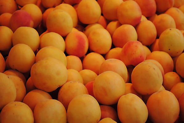 포토 JPG 해외이미지 식물 계절 음식 백그라운드 농업 다이어트 채소 오렌지 재료 디저트 건강 사람없음 빨간색 여름 빛 농장 노란색 정원 식사 신선 그룹 시장 달콤 맛 먹기 상쾌 유기농 질감 흙더미 내추럴 살구 숙성 채식주의자 해외202004 해외포토 웰빙 감정 산업 컬러 컨셉 과일 모션 흙 채식 파일형식 더미 이미지허브