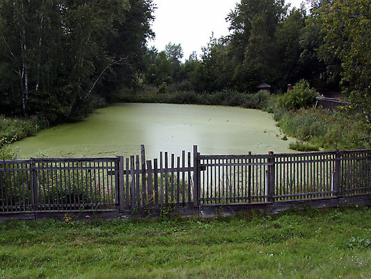 포토 JPG 해외이미지 계절 자연 풍경 사람없음 물 사막 연못 막대기 황무지 티켓 고독 숲 비밀 땅 버리기 해외202004 해외포토 자연요소 감정 컨셉 모션 생태계 파일형식 이미지허브