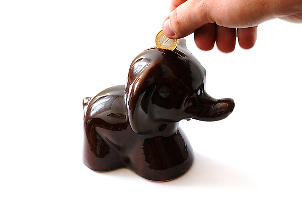 포토 JPG 해외이미지 손 돈 코끼리 사람 사람없음 금융 경제 사무실 저축 저금통 잡기 작업 도자기 재산 가격 가난 오브젝트 만족 투자 회계 계좌 고립 많음 해외202004 해외포토 감정 컨셉 비즈니스 포유류 모션 신체부위 파일형식 이미지허브