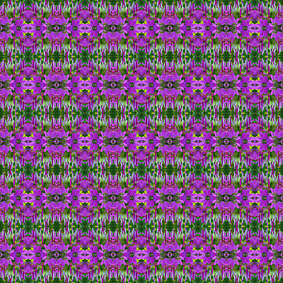 포토 JPG 해외이미지 꽃 백그라운드 패턴 자연 벽지 추상 사람없음 컬러풀 제비꽃 해외202004 해외포토 식물 컬러 무늬 생태계 파일형식 이미지허브