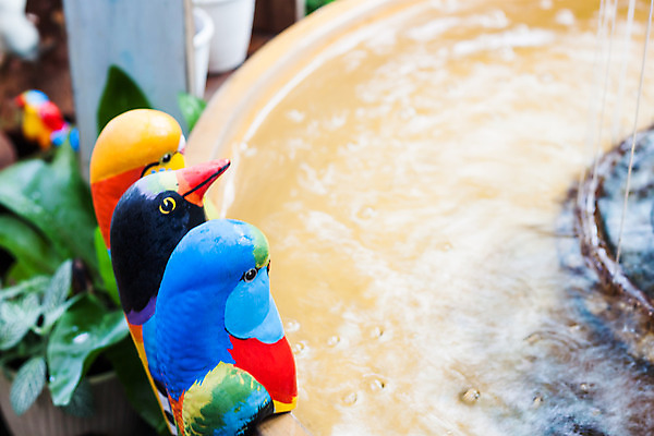 포토 JPG 해외이미지 공원 음료 조각 자연 조류 주택 사람없음 야외 장식 물 조각상 평화 금속 정원 침묵 목욕 봄 젖음 대야 해외202004 해외포토 자연요소 동물 계절 공공시설 컨셉 재질 건물 조형물 소리 청결 생태계 파일형식 이미지허브