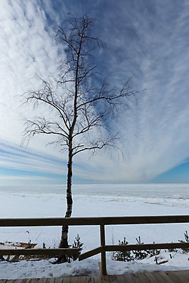 포토 JPG 해외이미지 계절 바다 섬 여행 백그라운드 컨셉 크리스마스 겨울 자연 하늘 날씨 휴가 노르웨이 풍경 해변 사람없음 야외 물 파란색 우주 냉동 얼음 추위 남극 북극 심볼 장면 북쪽 온도 스칸디나비아 해외202004 해외포토 자연요소 기념일 유럽 컬러 극지방 방향 생태계 파일형식 이미지허브