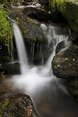 포토 JPG 해외이미지 나무 계절 공원 백그라운드 잎 자연 휴가 이끼 풍경 사람없음 야외 초록색 물 강 달리기 갈색 계곡 봄 폭포 습기 젖음 흐름 추위 가을 바위 개울 황무지 급류 매끈함 숲 암초 내추럴 블러 양치류 해외202004 해외포토 자연요소 식물 공공시설 컬러 컨셉 모션 돌_바위 감각 생태계 파일형식 이미지허브