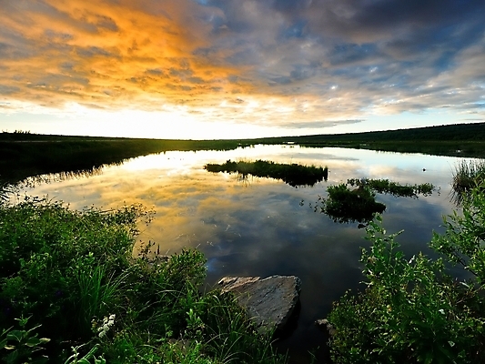 포토 JPG 해외이미지 식물 구름 호수 여행 잎 날개 자연 조류 하늘 따뜻함 어업 풍경 사람없음 야외 목재 초록색 물 강 태양 반사 노란색 일출 맑음 황혼 일몰 새벽 기쁨 자유 성장 광선 바위 도시 황무지 황금 습지 저녁 밀짚 알래스카 해외202004 해외포토 자연요소 나무 동물 감정 산업 컬러 컨셉 재료 날씨 노을 미국 돌_바위 짚 야간 생태계 파일형식 이미지허브