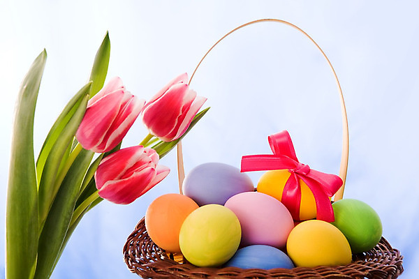 포토 JPG 해외이미지 식물 전통 계절 꽃 리본 기독교 종교 상징 백그라운드 잎 꽃무늬 자연 벽지 휴가 부활절 선물 이벤트 사람없음 빨간색 파란색 컬러풀 바구니 계란 침묵 봄 튤립 껍질 축하 신선 신용카드 4월 심볼 활 기회 매듭 신성 구성 신앙심 해외202004 해외포토 기념일 컬러 컨셉 무늬 금융 알 소리 날짜 생태계 파일형식 이미지허브