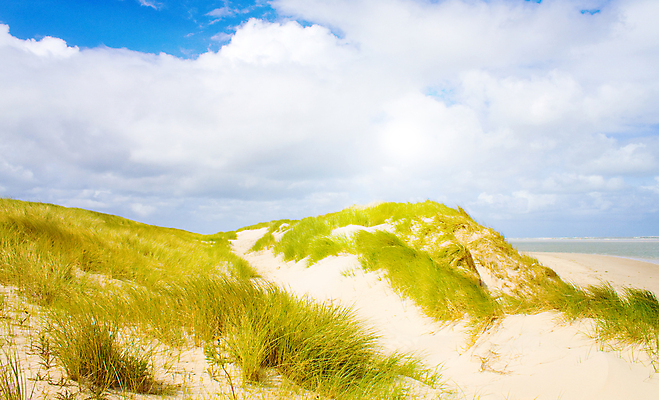 포토 JPG 해외이미지 구름 유럽 모래 바다 섬 여행 자연 하늘 바람 휴가 풍경 사람없음 야외 물 여름 파란색 빛 햇빛 태양 맑음 모래언덕 네덜란드 북쪽 해외202004 해외포토 자연요소 계절 나라 컬러 날씨 방향 언덕 생태계 파일형식 이미지허브