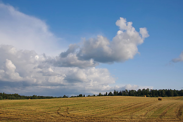 포토 JPG 해외이미지 구름 밭 농업 자연 하늘 파노라마 풍경 사람없음 야외 초록색 여름 파란색 햇빛 환경 침묵 시골 땅 조경 장면 수평선 해외202004 해외포토 자연요소 계절 산업 컬러 촬영기법 태양 소리 생태계 파일형식 이미지허브